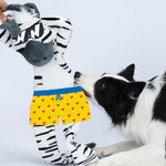 ZEBRA CON CHIRRIADOR Y ARRUGADO PERROS GRANDES PW10123
