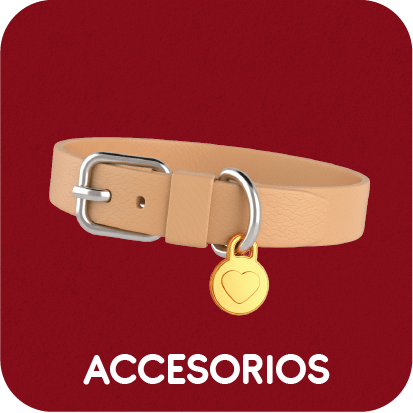 Accesorios para perros