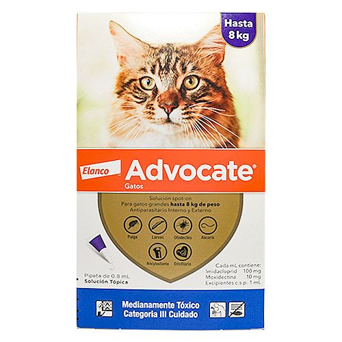 ADVOCATE GATOS