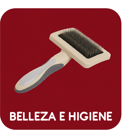 Belleza e higiene para perros