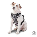 Totto Pets - Arnés de Caminata Pechera Heikul Mickey Mouse Gris