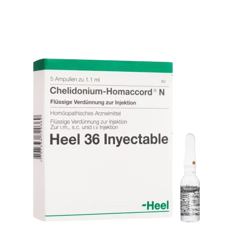 CHELIDONIUM HOMACCORD AMPOLLAS