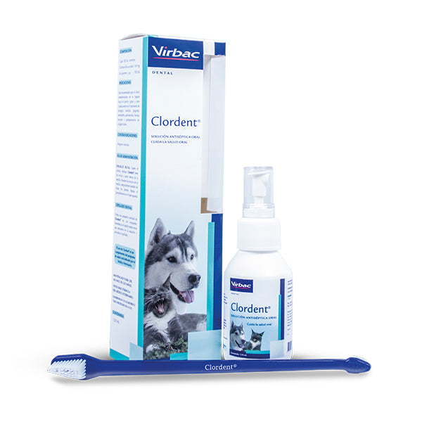 CLORDENT SOLUCION 120 ml