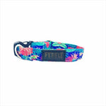 COLLAR COLORES VARIOS FEDELE