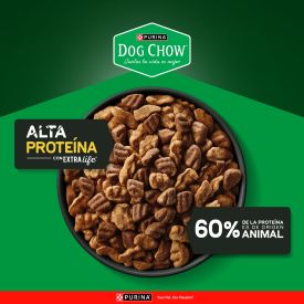 Dog Chow adulto Alta Proteína X 20 Kg