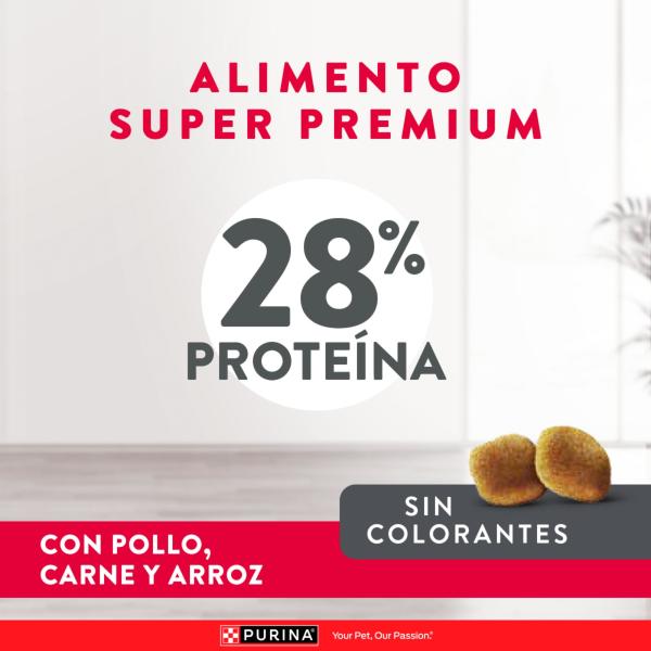Excellent Puppy Medium & Large Breed Alimento para Perros