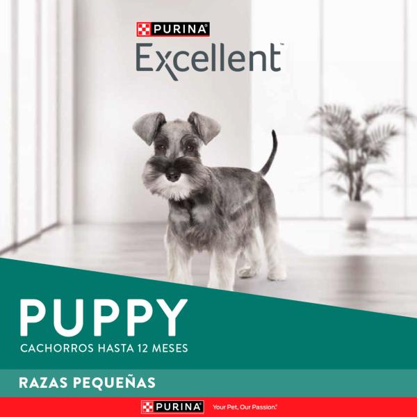 Excellent Puppy Small Breed Alimento para Perros Purina