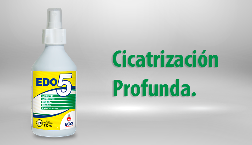 EDO 5 | La Casa del Granjero