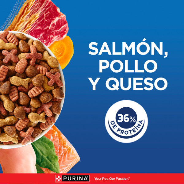 Cat Chow Vida Sana Alimento para Gatos