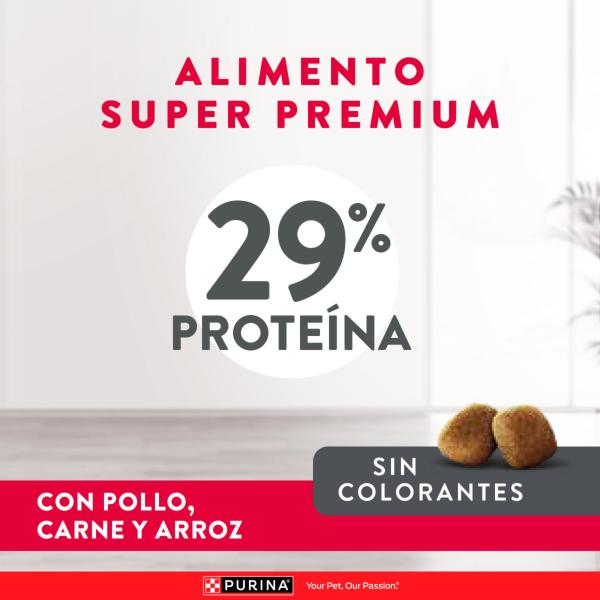 Excellent Puppy Small Breed Alimento para Perros Purina