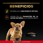 Pro Plan Puppy Small Breed Alimento