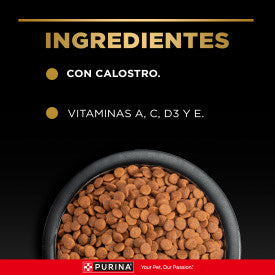 Pro Plan Puppy Small Breed Alimento