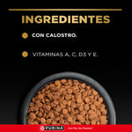 Pro Plan Puppy Small Breed Alimento