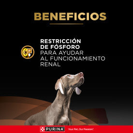 Pro Plan NF Kidney Function Alimento para Perros 2 KL
