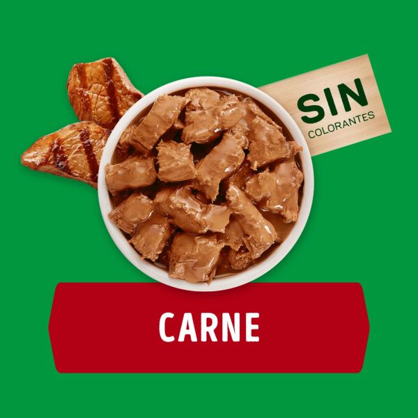 Dog Chow Pouch Carne Alimento cacninos 100gr