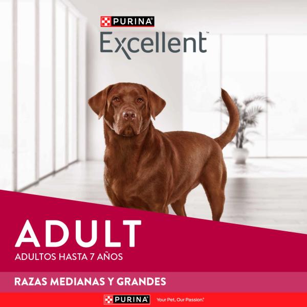 Excellent Adult Alimento para Perros