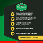 Dog Chow adulto Alta Proteína X 20 Kg