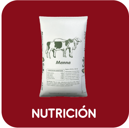 Alimento para equinos y bovinos