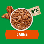 Dog Chow Pouch Carne Minis y Pequeños 100gr