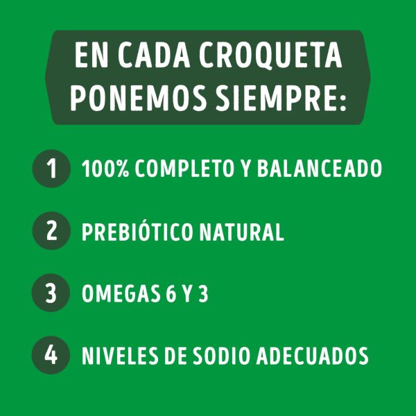 Dog Chow Sano y en Forma control de de peso Alimento para Perros