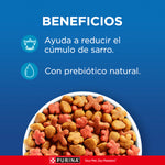 Cat Chow Adulto Pescado