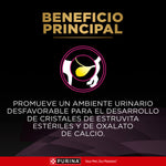 Pro Plan UR Urinary Canino 2 KL