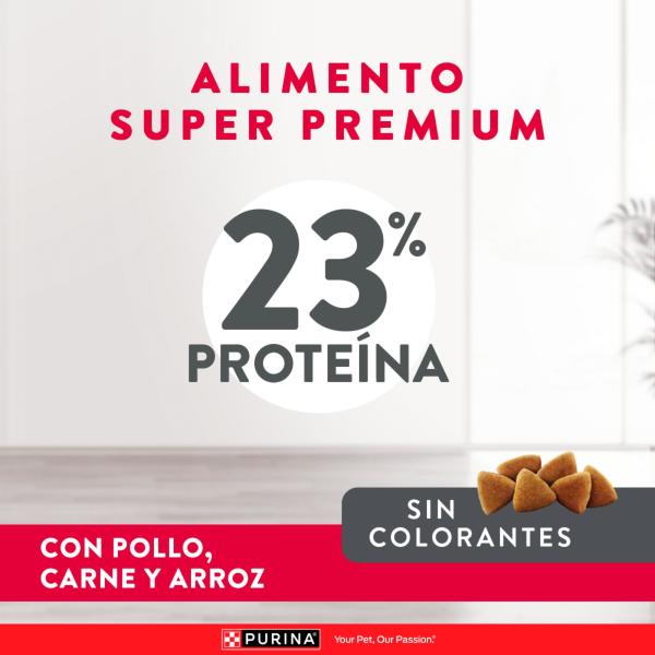 Excellent Adulto Mantenimiento para Perros