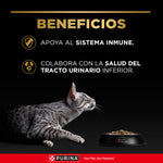Pro Plan Cat Adulto Alimento para Gatos
