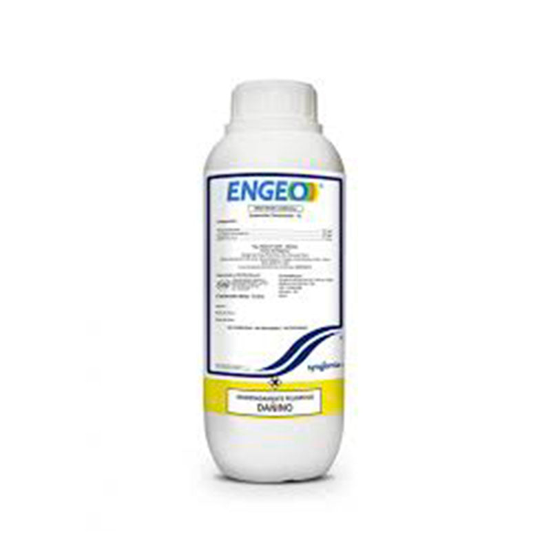 ENGEO