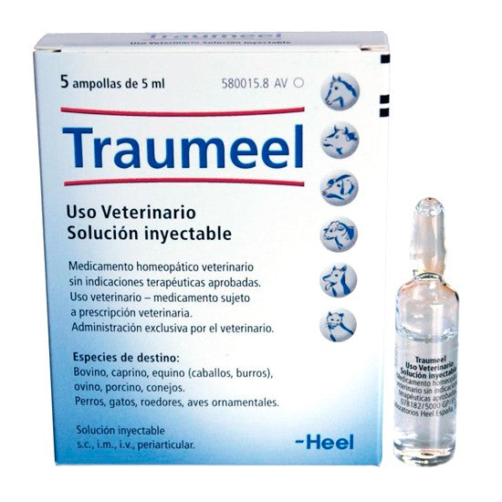 Traumeel Ampolla Heel