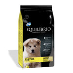 Equilibrio Puppies All Breed