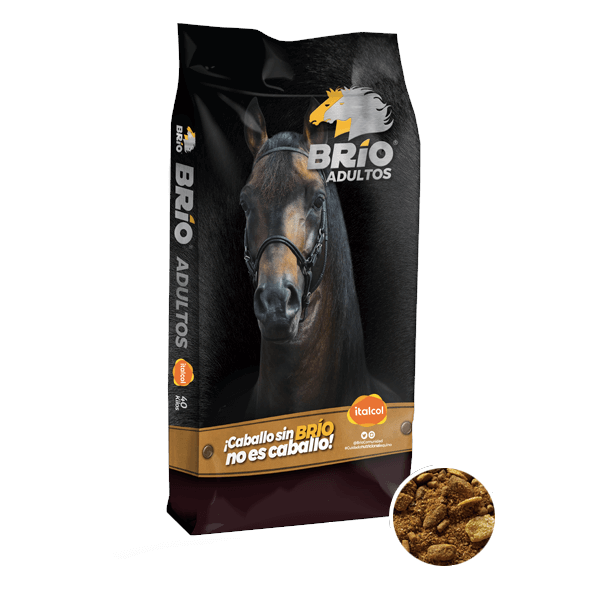Brio Adultos Alimento para Equinos Italcol 40kg