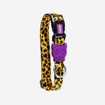 Collares para perros ZEEDOG