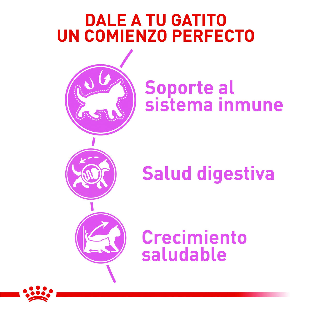 Royal Canin Kitten Alimento para Gatos