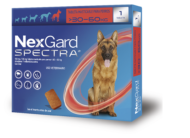 Nexgard Spectra Desparasitante Antipulgas y Garrapatas para Perros