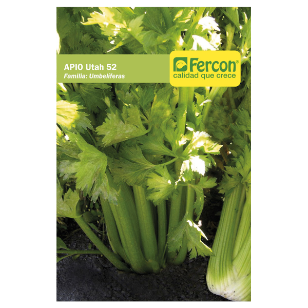 Semillas de Apio Utah - Fercon