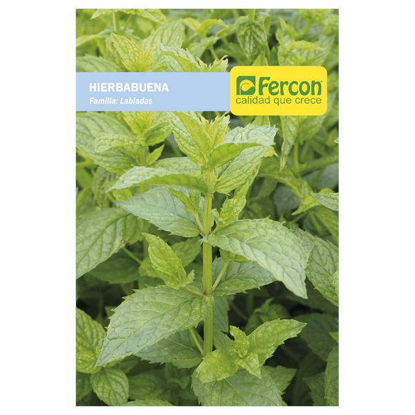 Semillas de Hierbabuena - Fercon