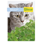 Semillas de Menta para Gatos - Fercon
