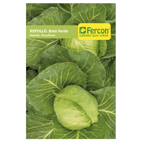 Semillas de Repollo Bola Verde - Fercon