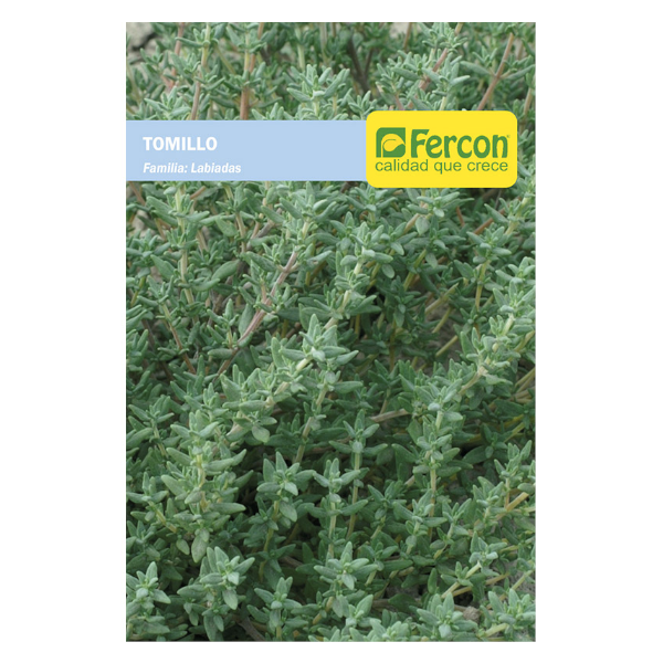 Semillas de Tomillo - Fercon