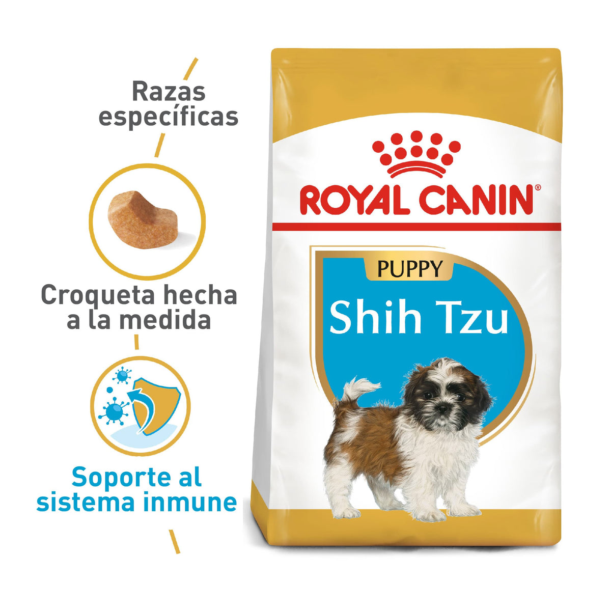 Shih Tzu Puppy