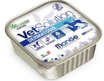 DOG MONGE VET SOLUTION DERMATOSIS