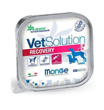 DOG MONGE VET SOLUTION RECOVERY