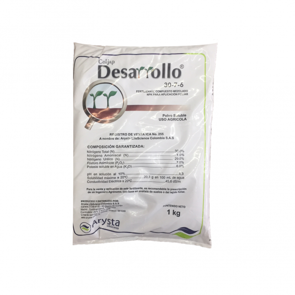 DESARROLLO