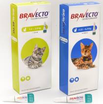 Bravecto Antipulgas para Gatos Solución Tópica MSD Pipeta