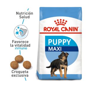 Maxi Puppy Royal Canin SHN 1