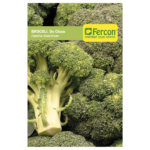 Semillas de Broccoli - Fercon